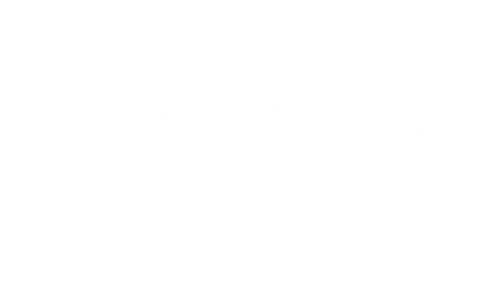 themoon 
